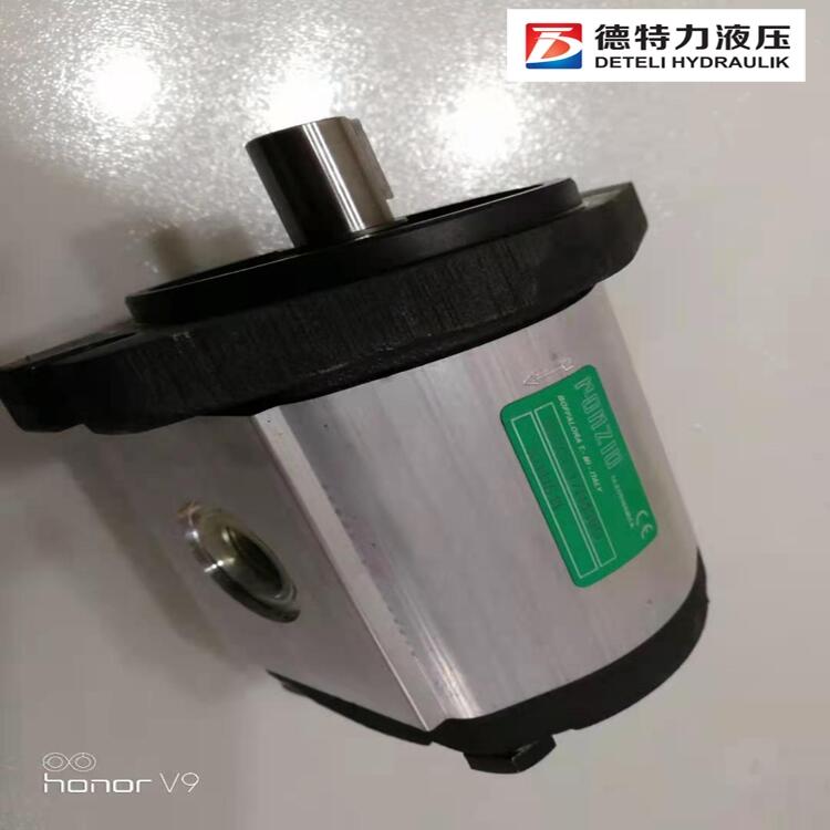 意大利羅茨ronzio單聯(lián)泵、雙聯(lián)泵、三聯(lián)泵、四聯(lián)泵